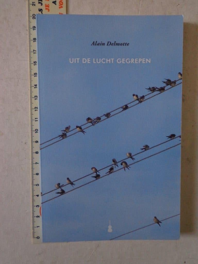 dichtbundel van Alain Delmotte "Uit de lucht gegrepen" 2013, Boeken, Alain Delmotte, Ophalen of Verzenden, Zo goed als nieuw, Eén auteur