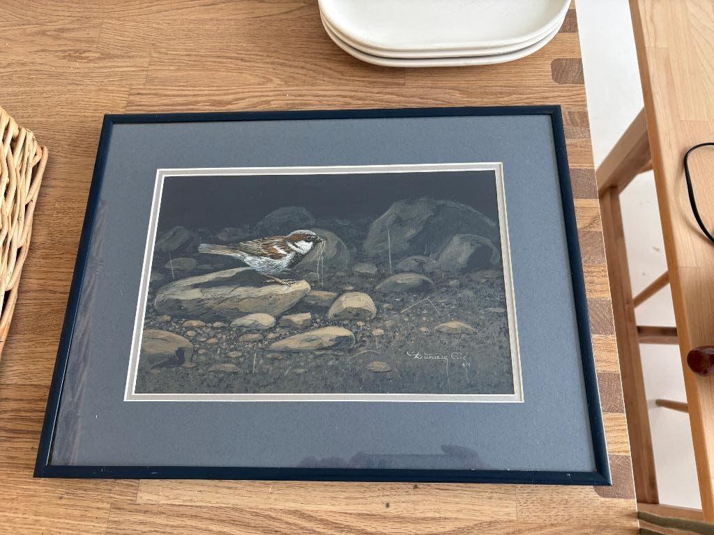 Gratis schilderij huismus, Ophalen