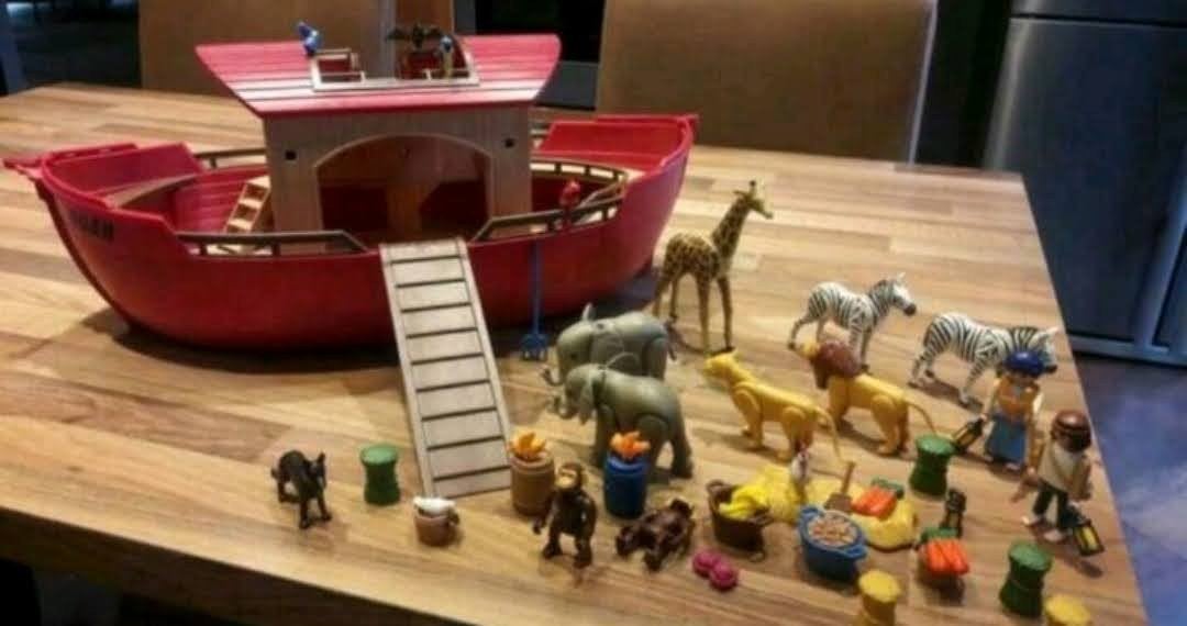 Playmobiel  ark van Noah 3255, Kinderen en Baby's, Ophalen