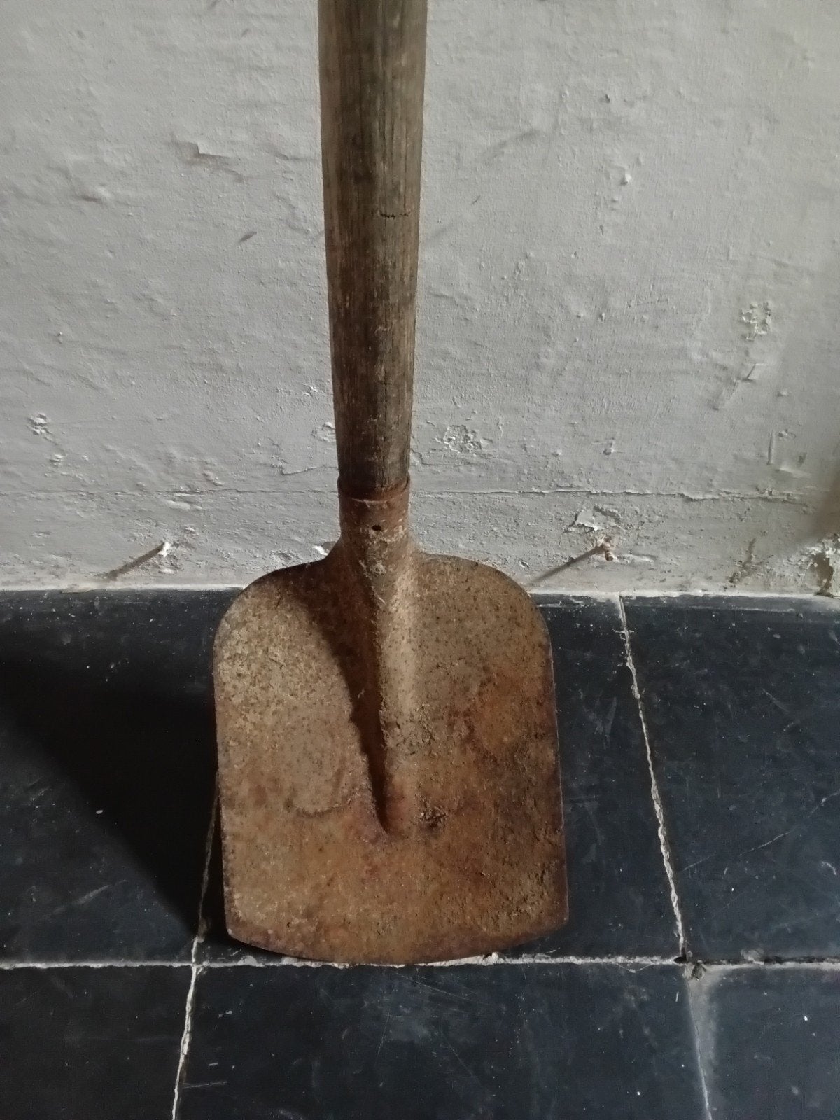 Pelle, Jardin & Terrasse, Outils à main, Enlèvement, Pelle