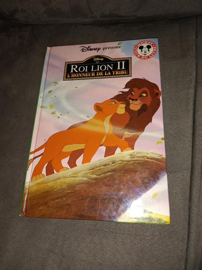 Livre le roi lion 2, Collections, Enlèvement ou Envoi