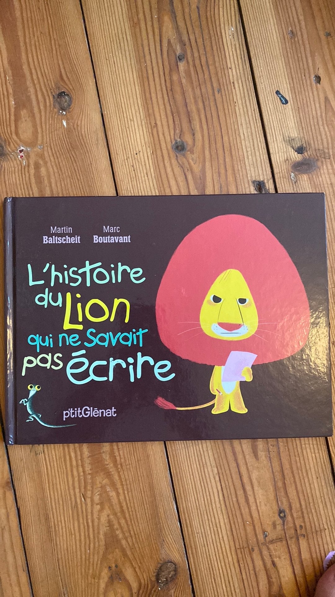 L’histoire du lion qui ne savait pas écrire, Boeken, Kinderboeken | Baby's en Peuters, Ophalen, Zo goed als nieuw