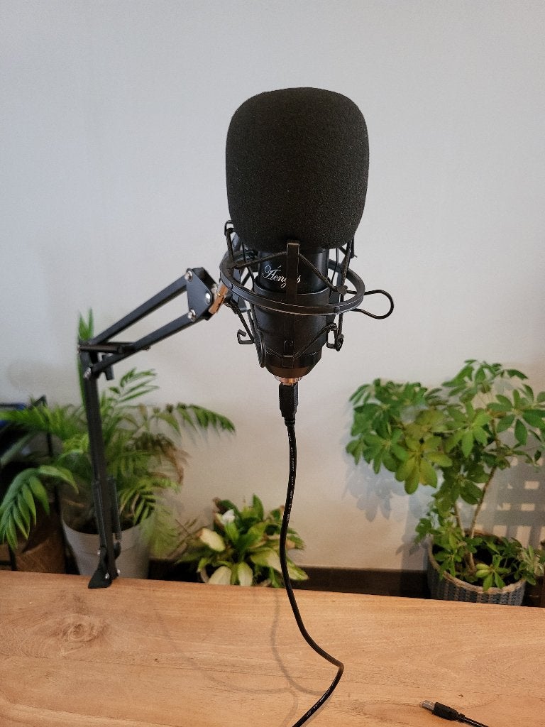 Game of podcast mic, Musique & Instruments, Microphones, Enlèvement, Comme neuf, Micro studio