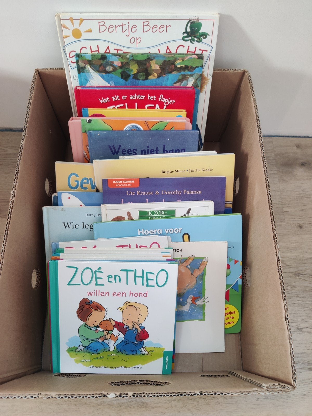 verschillende kinderboeken/prentenboeken voor kleuters, Enlèvement, Utilisé, Livre de lecture