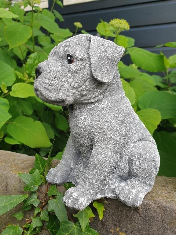 boxer hond , beeld, Ophalen of Verzenden, Nieuw