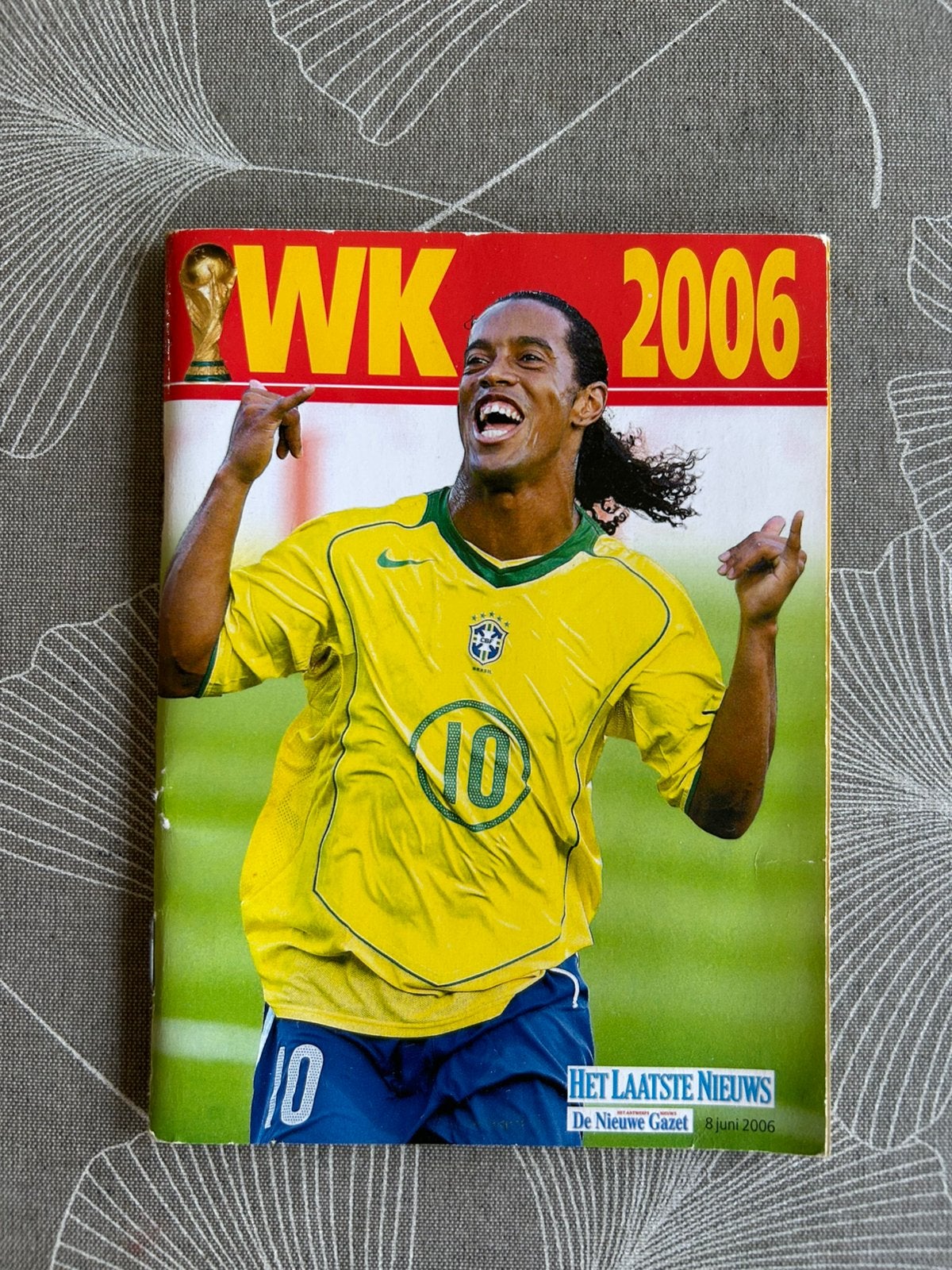 WK gids 2006, Ophalen of Verzenden, Zo goed als nieuw, Overige typen