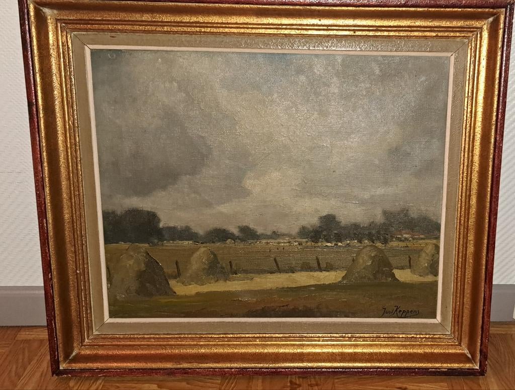 Schilderij juul keppens, Antiek en Kunst, Ophalen