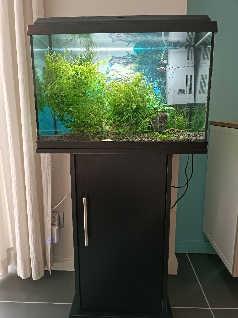 Aquarium Juwel 70 liter, Animaux & Accessoires, Poissons | Aquariums & Accessoires, Enlèvement, Filter, Juwel