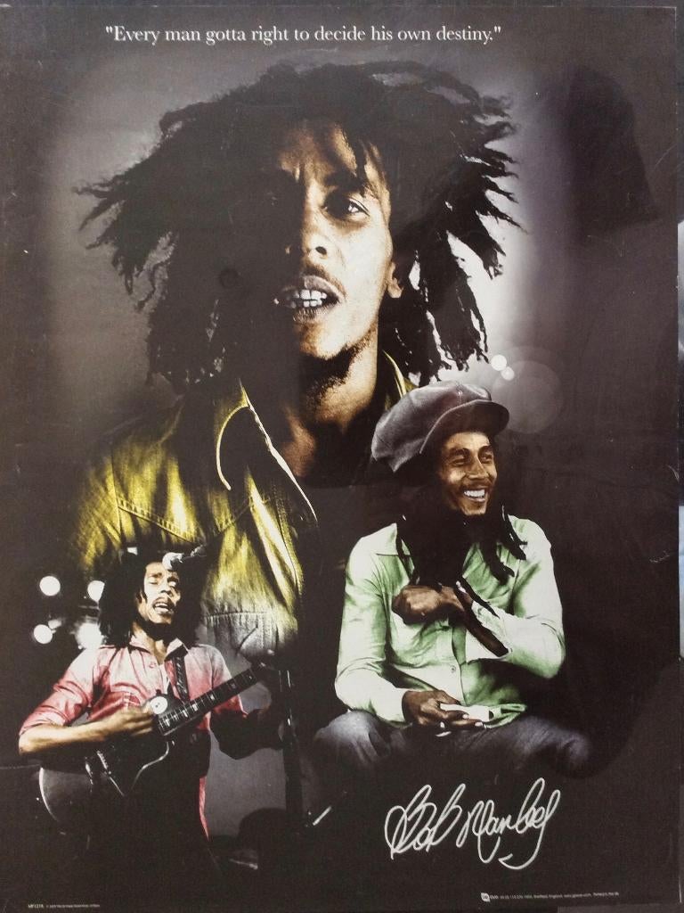 poster 2009 Bob Marley " DESTINY", Verzamelen, Posters, Gebruikt, Muziek, A1 t/m A3, Rechthoekig Staand, Ophalen of Verzenden