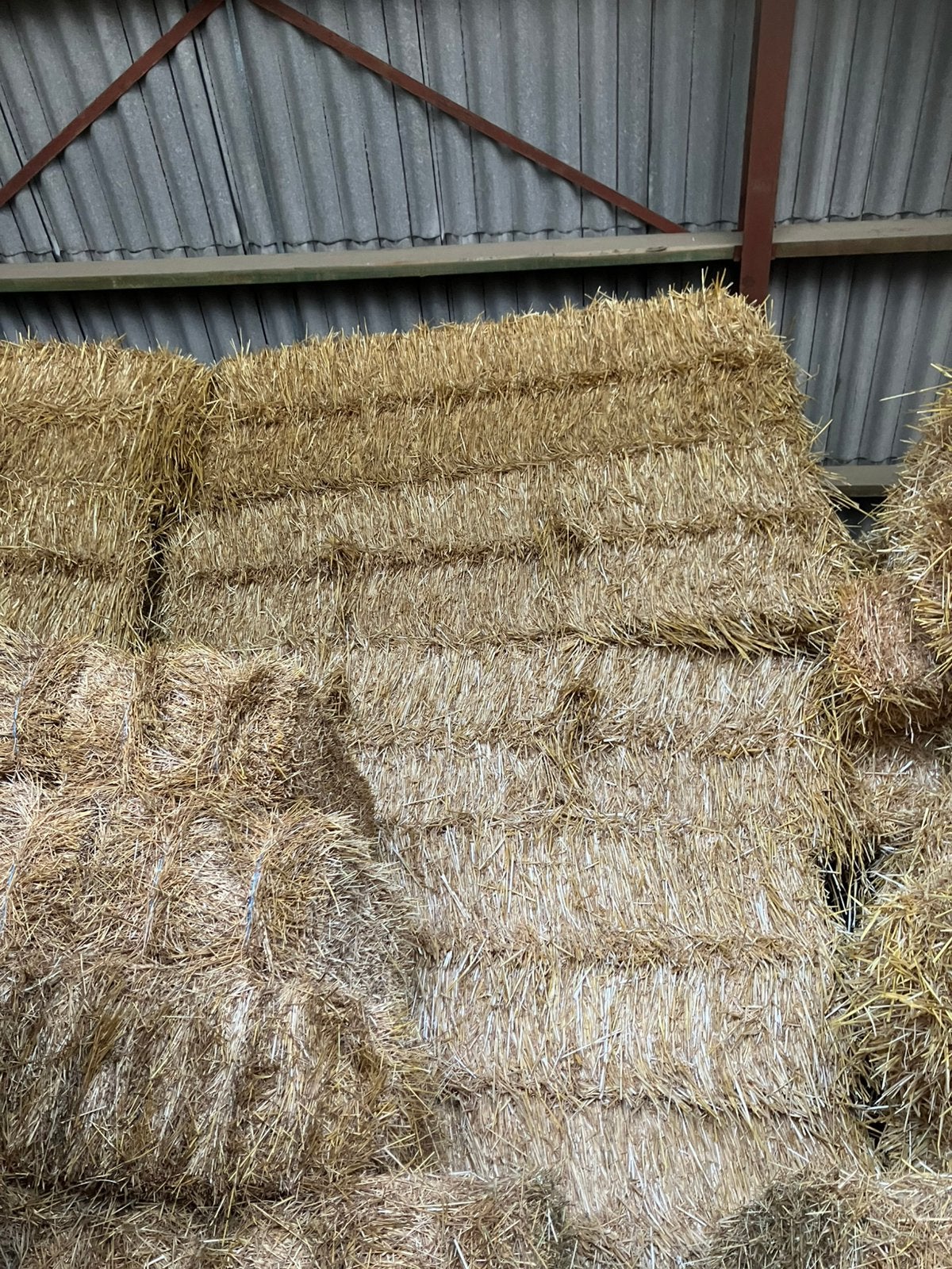 Grote balen tarwestro, Dieren en Toebehoren, Ophalen