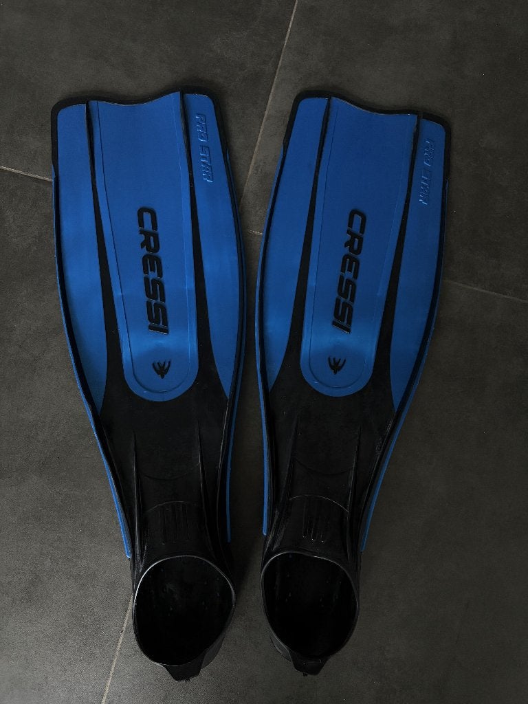 Palmes de plongée Cressi, Sports nautiques & Bateaux, Enlèvement, Utilisé, Palmes de natation ou de plongée