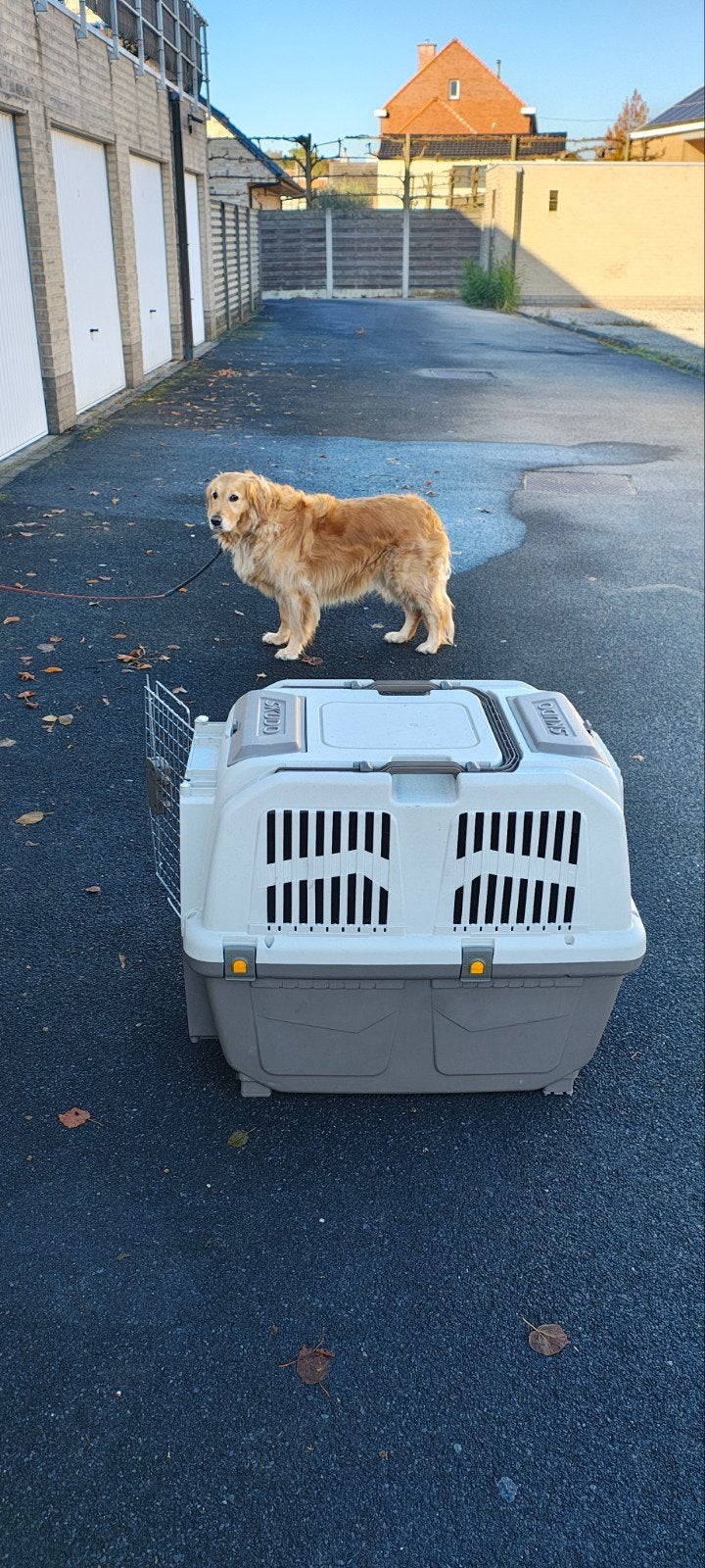 Grote honden transportbox SKUDO – goede staat, Dieren en Toebehoren, Ophalen