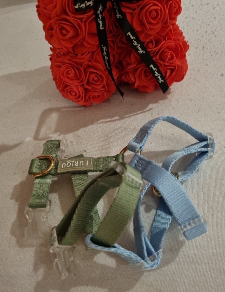 Harnais Furlou Y nouvelle taille S, Animaux & Accessoires, Autres marques, Enlèvement ou Envoi, Neuf, Harnais pour chien