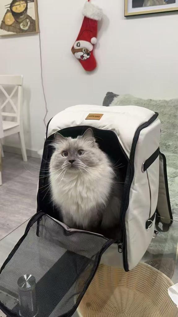 Luxe Crème Kattenrugzak & Reismand – Auto & Trolley, Dieren en Toebehoren, Ophalen of Verzenden, Zo goed als nieuw