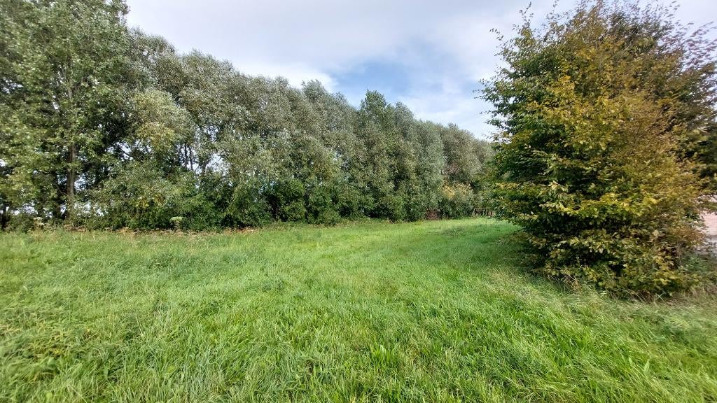 Terrain à bâtir d'une superficie de 924 m², Immo, Terrains & Terrains à bâtir, Herseaux, 500 à 1000 m²