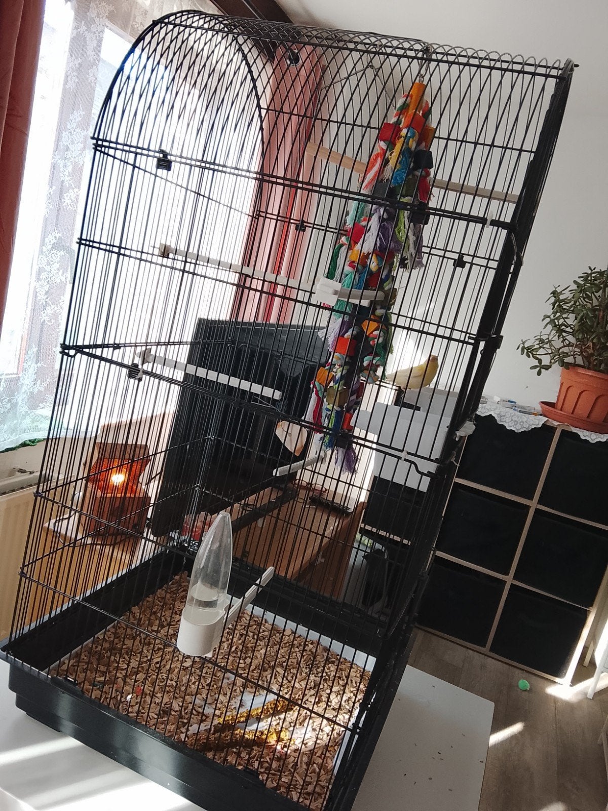 kanarie kooi, Ophalen, Zo goed als nieuw, Vogelkooi