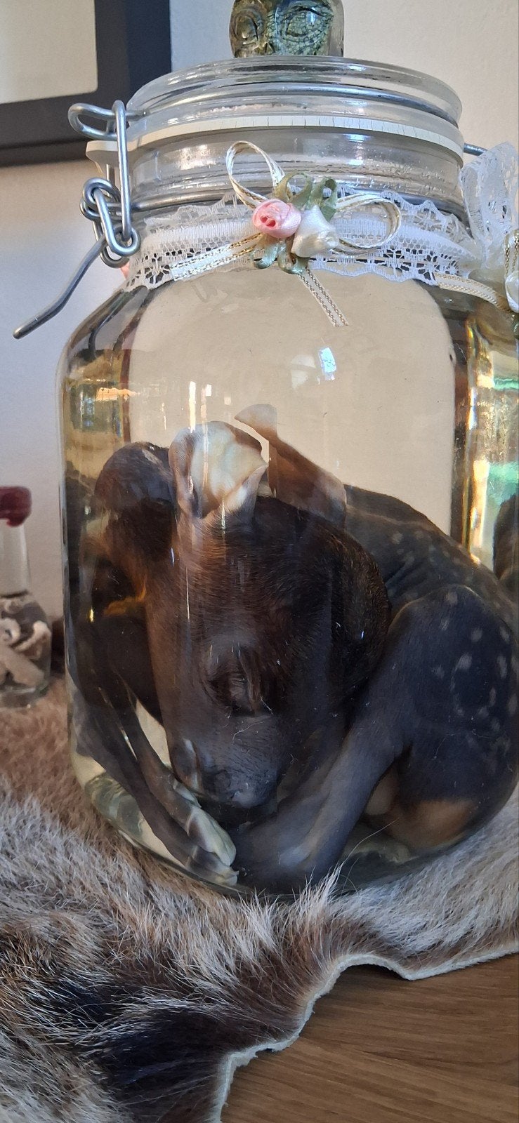 wet specimens bambi, Ophalen