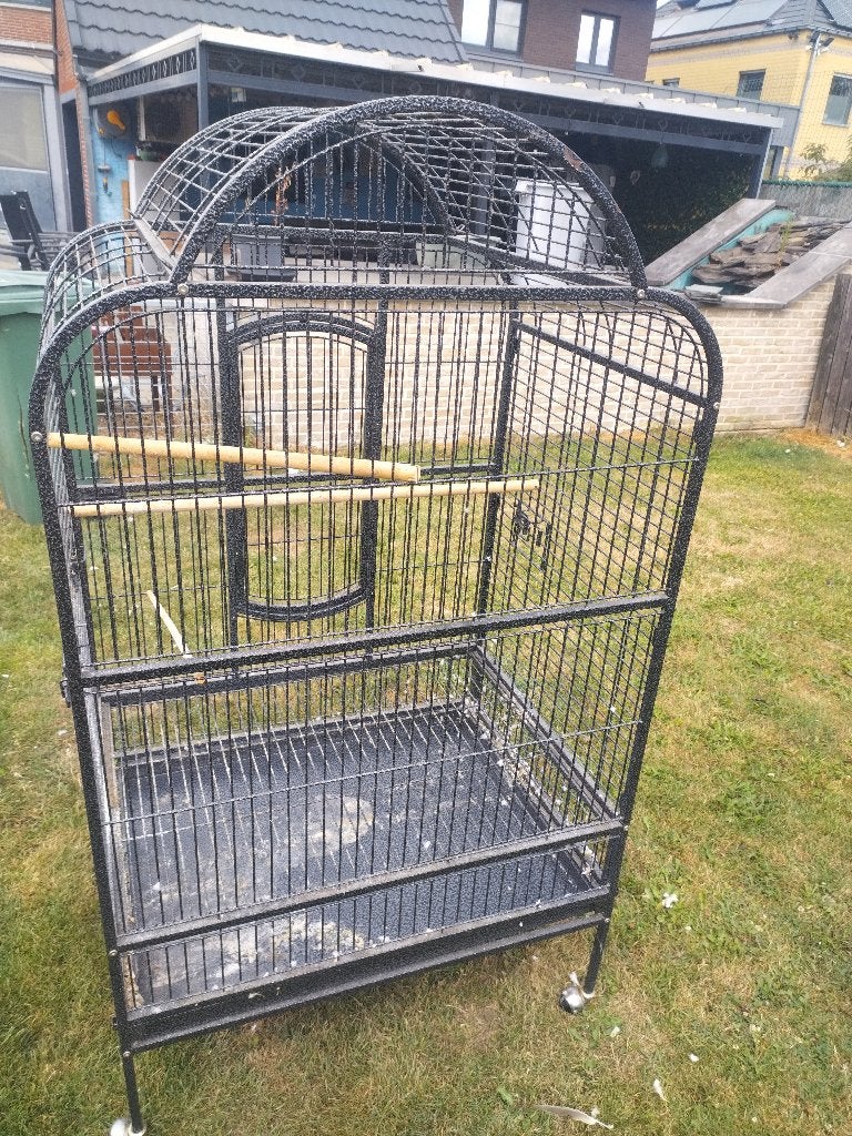 Papegaaienvilla, Dieren en Toebehoren, Ophalen, Gebruikt, Metaal, Vogelkooi