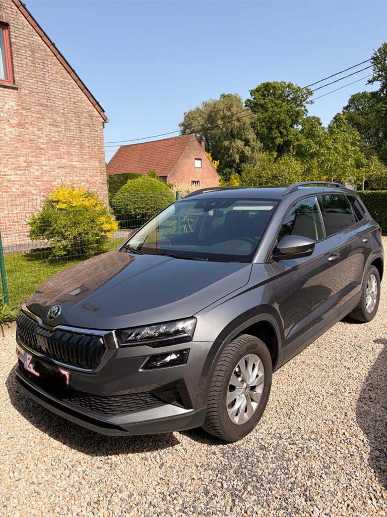 Skoda karok, Cuir, Argent ou Gris, Achat, Euro 6