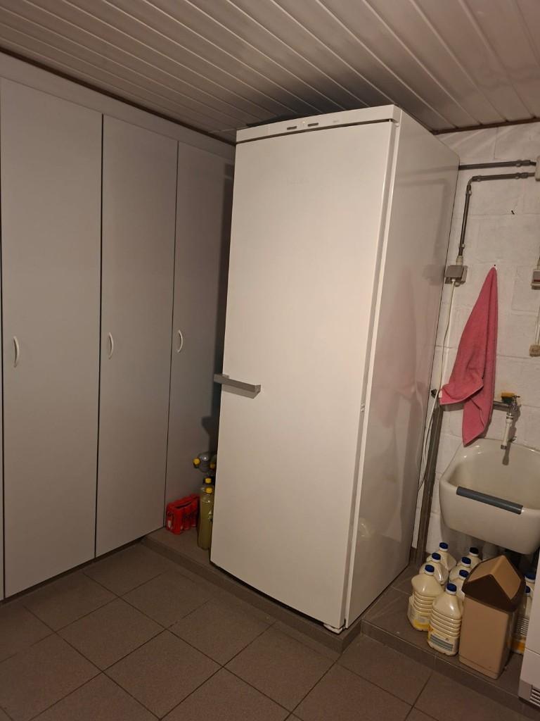 Diepvries, Electroménager, Congélateurs, Congélateur, 160 cm ou plus, Enlèvement, Utilisé