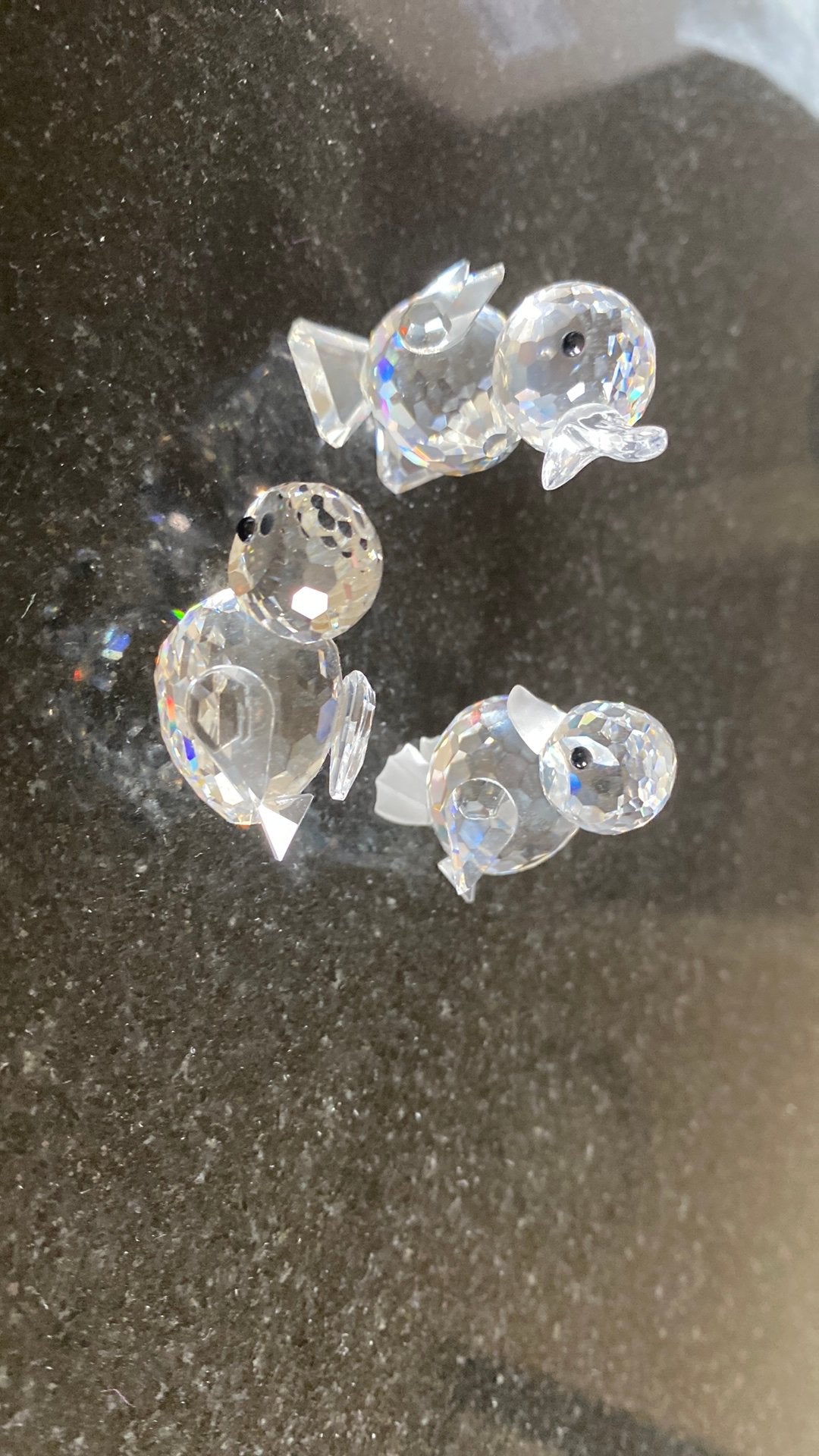 Swarovski vogels, Verzamelen, Ophalen of Verzenden, Zo goed als nieuw
