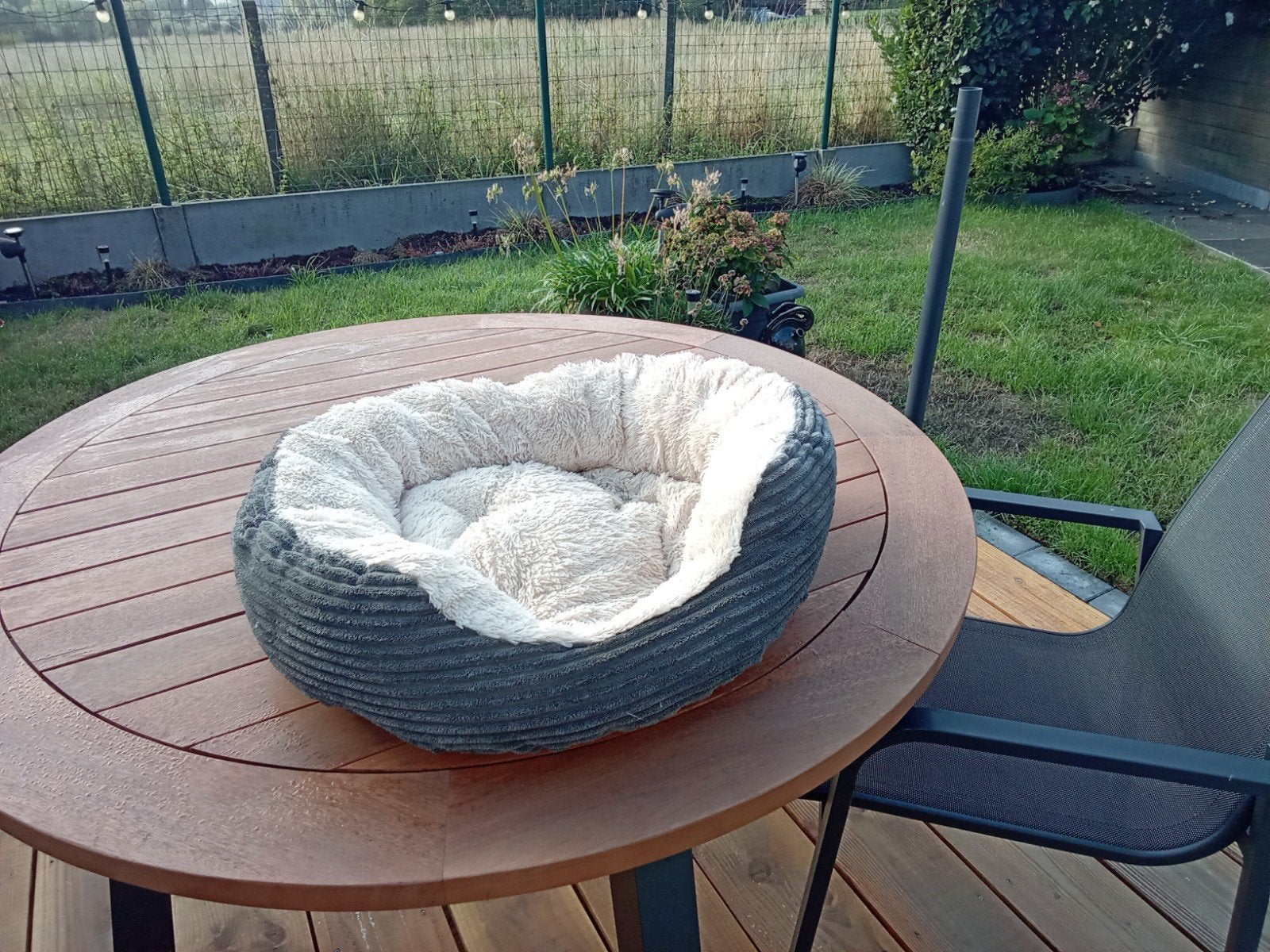 lit pour chien, Animaux & Accessoires, Paniers pour chats, Enlèvement