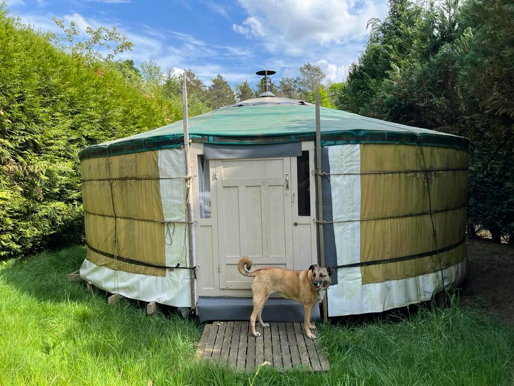 Yurt, Ophalen, Gebruikt, Meer dan 6