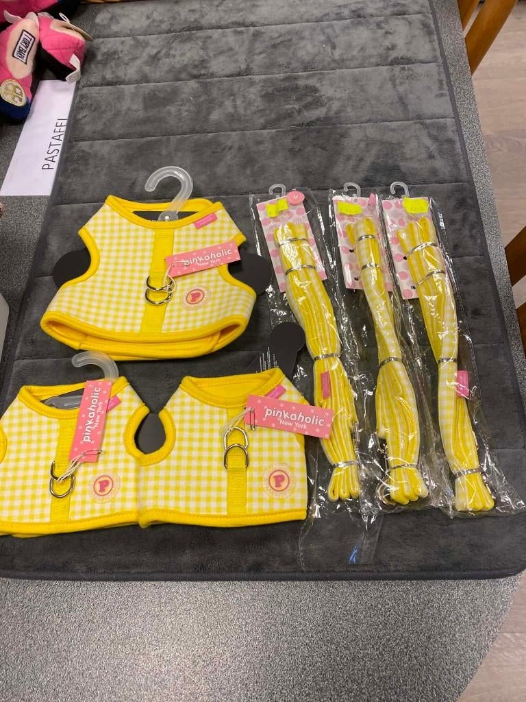 Harnasje + leiband van Pinkaholic aan outletprijs., Dieren en Toebehoren, Ophalen of Verzenden, Nieuw