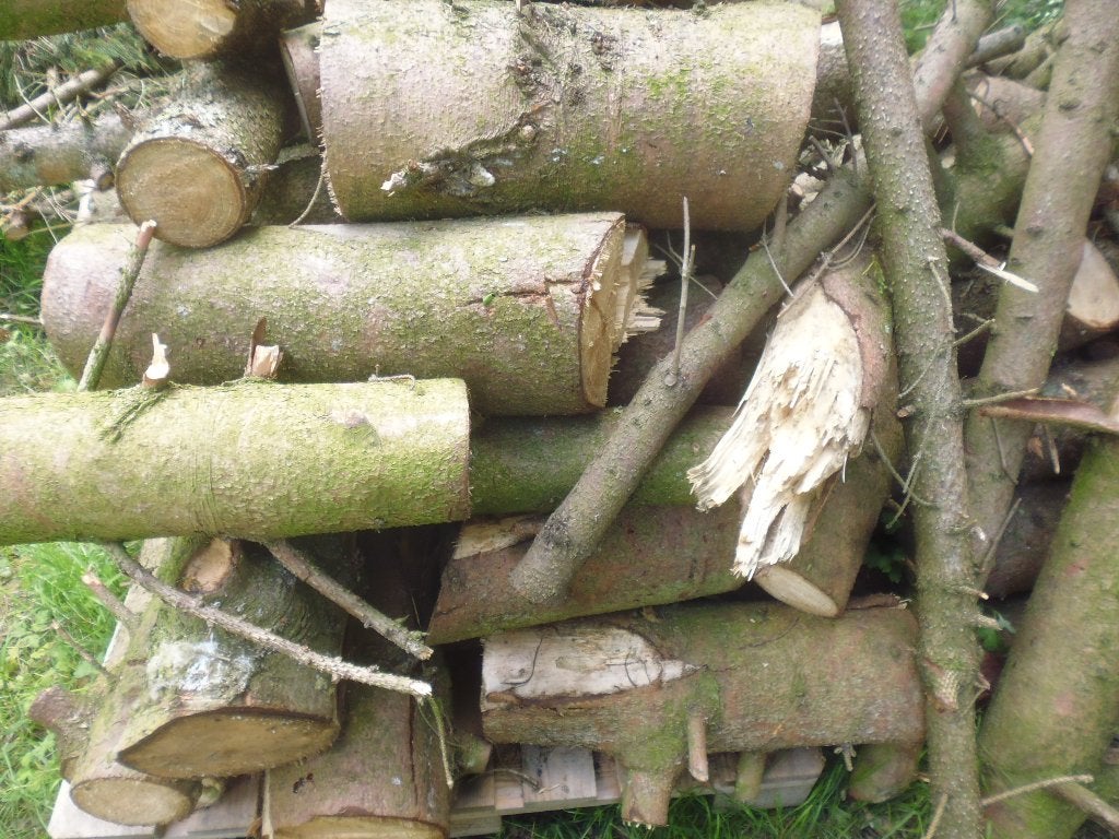 Bois de chauffage prêt à fendre 40/50/60 cm, Jardin & Terrasse, Bois de chauffage, 6 m³ ou plus, Enlèvement, Autres essences de bois