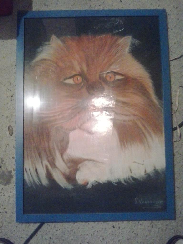grote kader schilderij poes kat, Antiek en Kunst, Ophalen of Verzenden