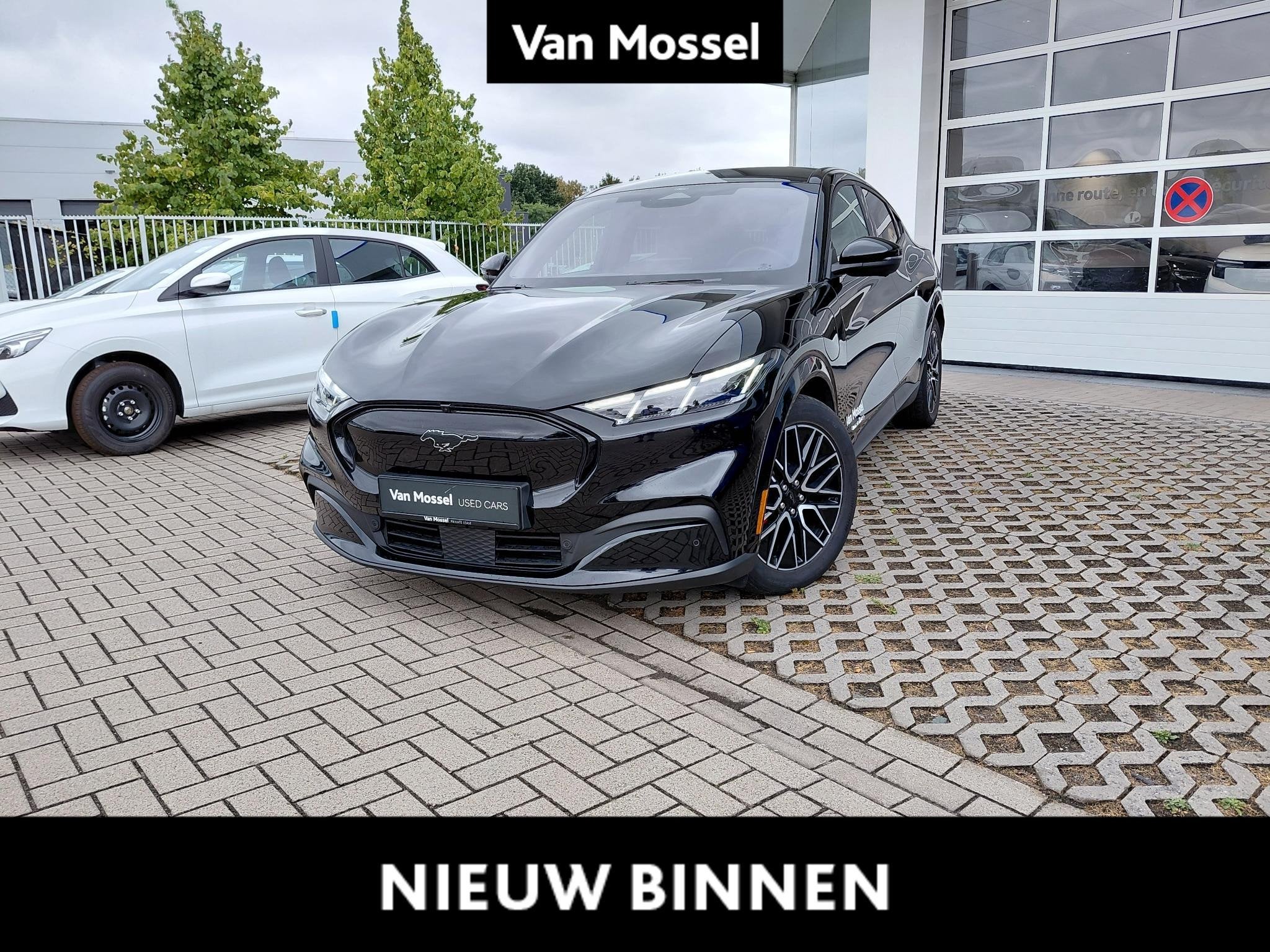 Ford Mustang Mach-E 88kWh 276kW Extended Range Premium AWD, Autos, Achat, 550 km, Entreprise, https://public.car-pass.be/vhr/5c448f66-306e-4f88-807c-8afbefb8b550