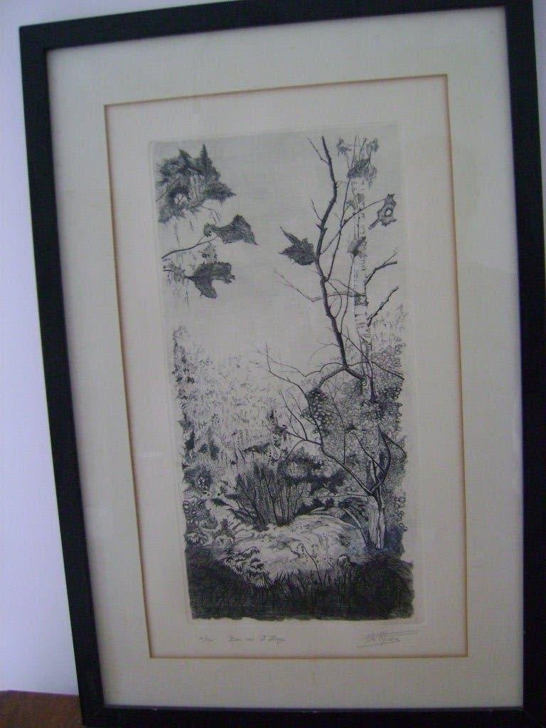 Ets F. De Medts Bos van d'Hoppe, Antiek en Kunst, Kunst | Etsen en Gravures, Ophalen, Ets, 60 cm, Ingelijst