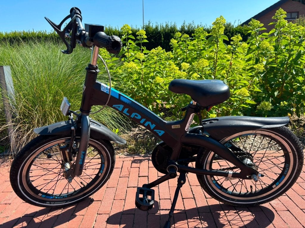 kinderfiets, Fietsen en Brommers, Ophalen, Terugtraprem, Gebruikt, Alpina