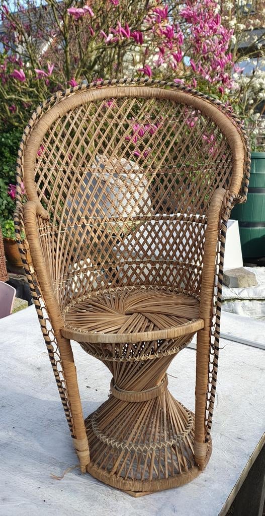 Prachtige vintage PAUWENSTOEL voor kinderen!, Enlèvement, Utilisé, Chaise(s)