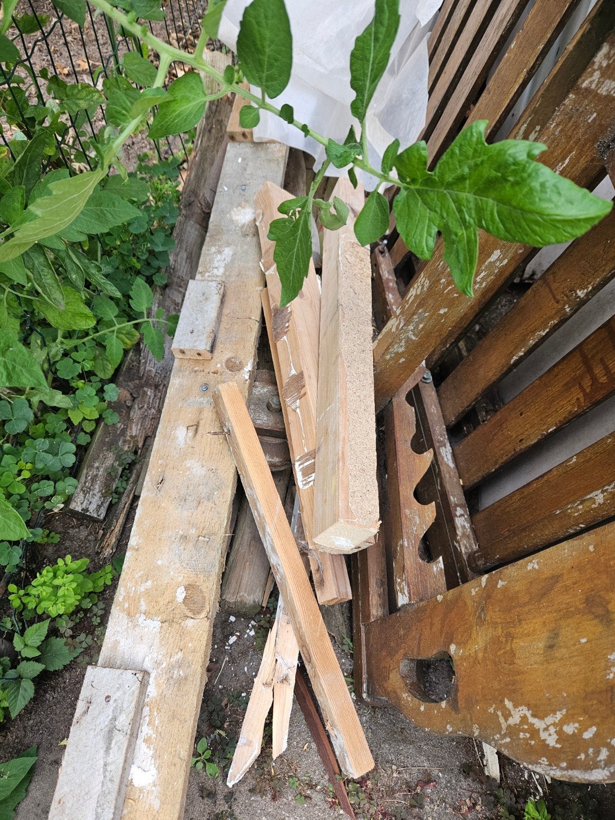 bois de chauffage, Enlèvement