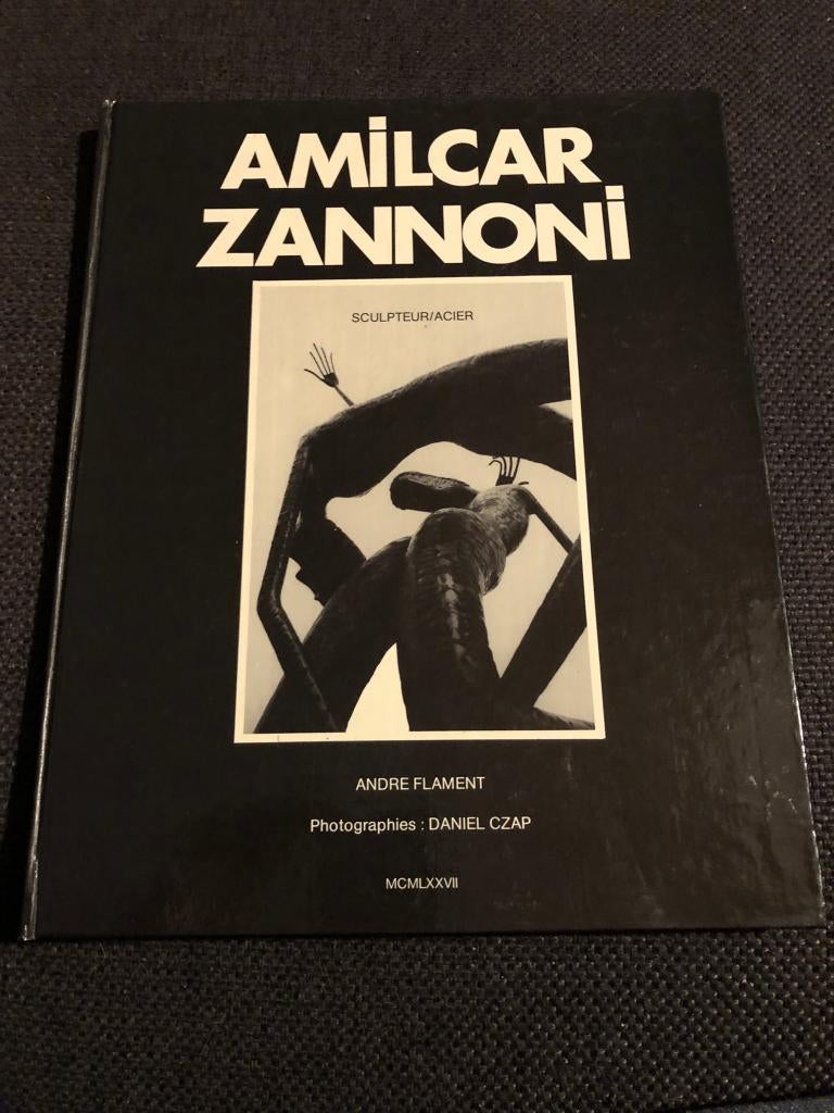 Kunstboek Amilcar Zannoni - Andre Flament, Gelezen, Andre Flament, Ophalen of Verzenden, Overige onderwerpen