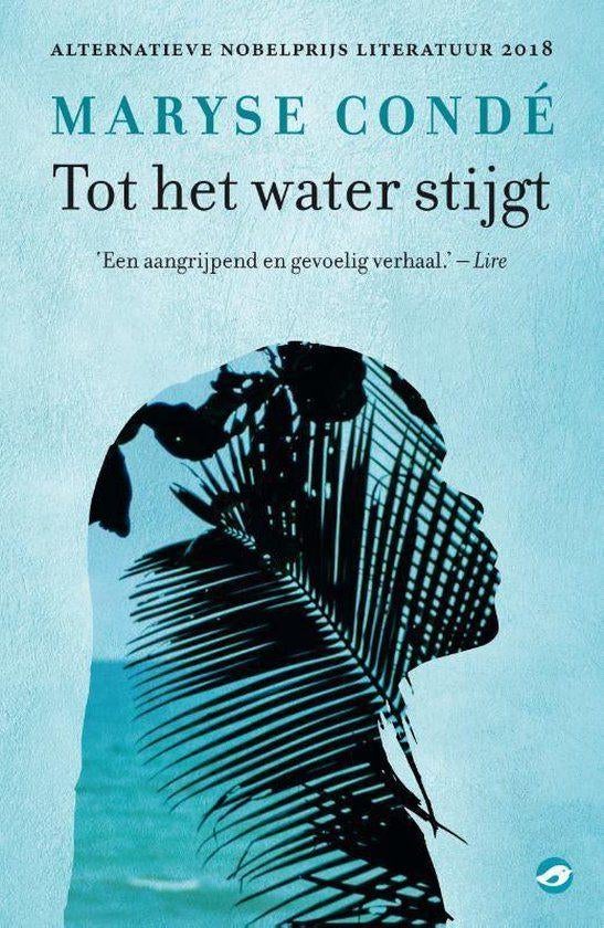 Te Koop Boek TOT HET WATER STIJGT Maryse Condé, Europa overig, Ophalen of Verzenden, Zo goed als nieuw, Maryse Condé