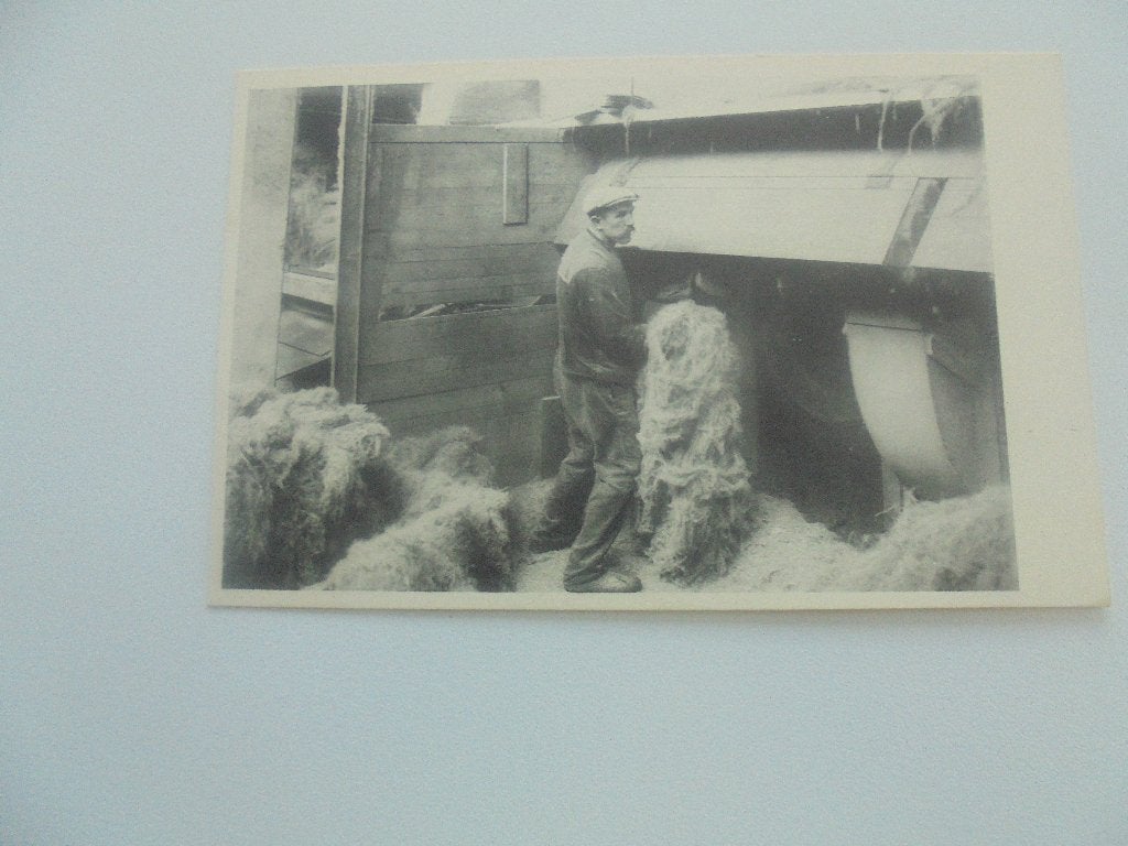 vlasteelt- kloddenzwingelen, Verzamelen, Postkaarten | België, Verzenden, 1920 tot 1940, Ongelopen, West-Vlaanderen