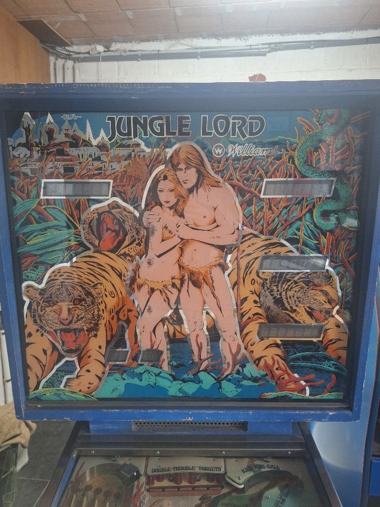 Flipper jungle lord williams, Collections, Flipper (jeu), Williams, Enlèvement, Utilisé