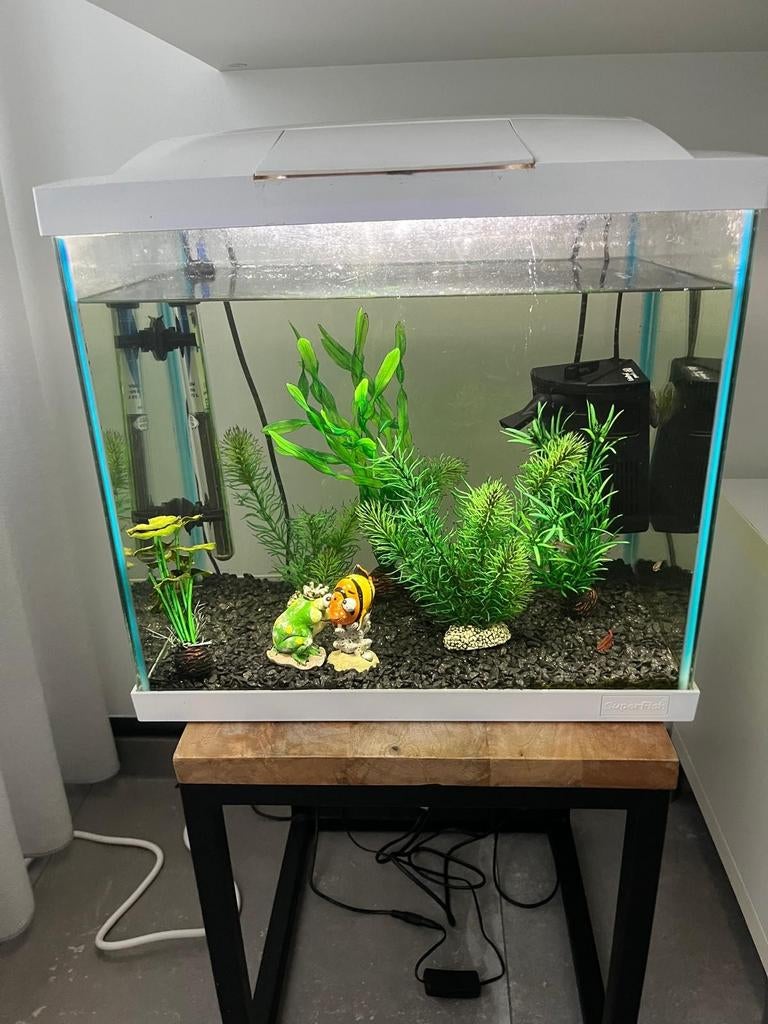 Aquarium, Dieren en Toebehoren, Ophalen, Verwarming, Decoratie