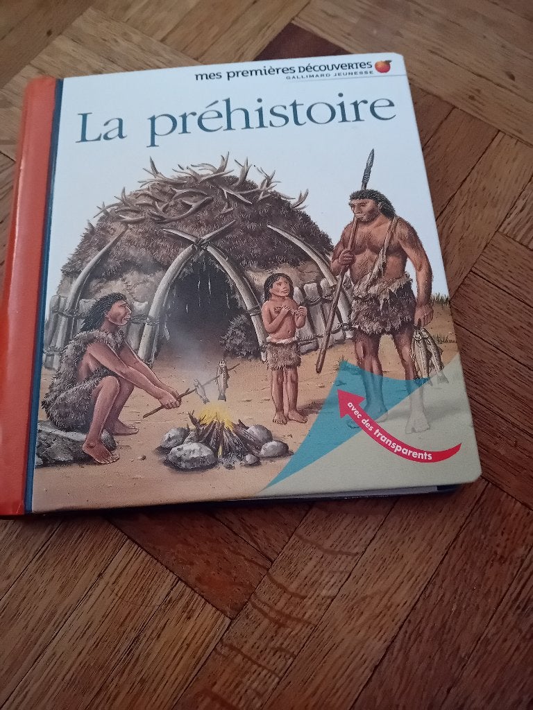 Livre la prehistoire, Livres, Enlèvement ou Envoi