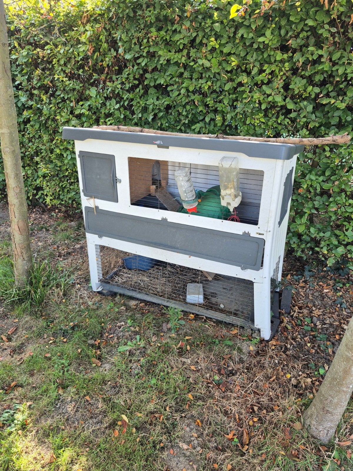 konijnenhok buiten en kleine ren, Dieren en Toebehoren, Ophalen, Ren