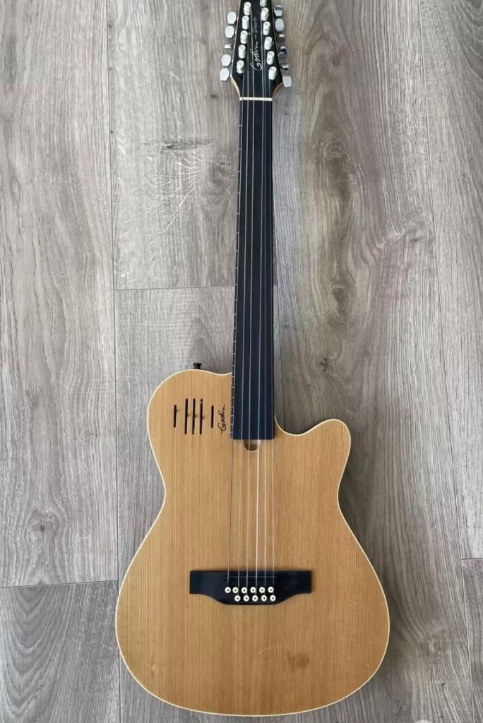 Godin Glissentar, Muziek en Instrumenten, Effecten, Ophalen, Gebruikt