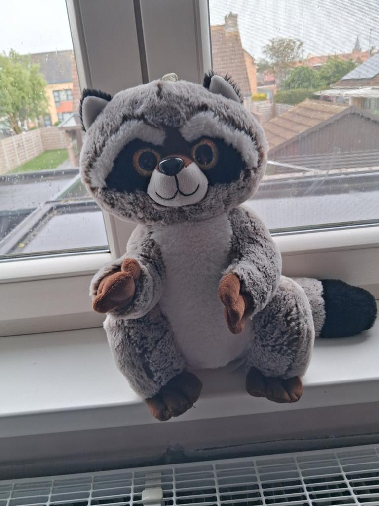 Knuffelbeer, Kinderen en Baby's, Speelgoed | Knuffels en Pluche, Ophalen, Beer, Grijs, Zo goed als nieuw