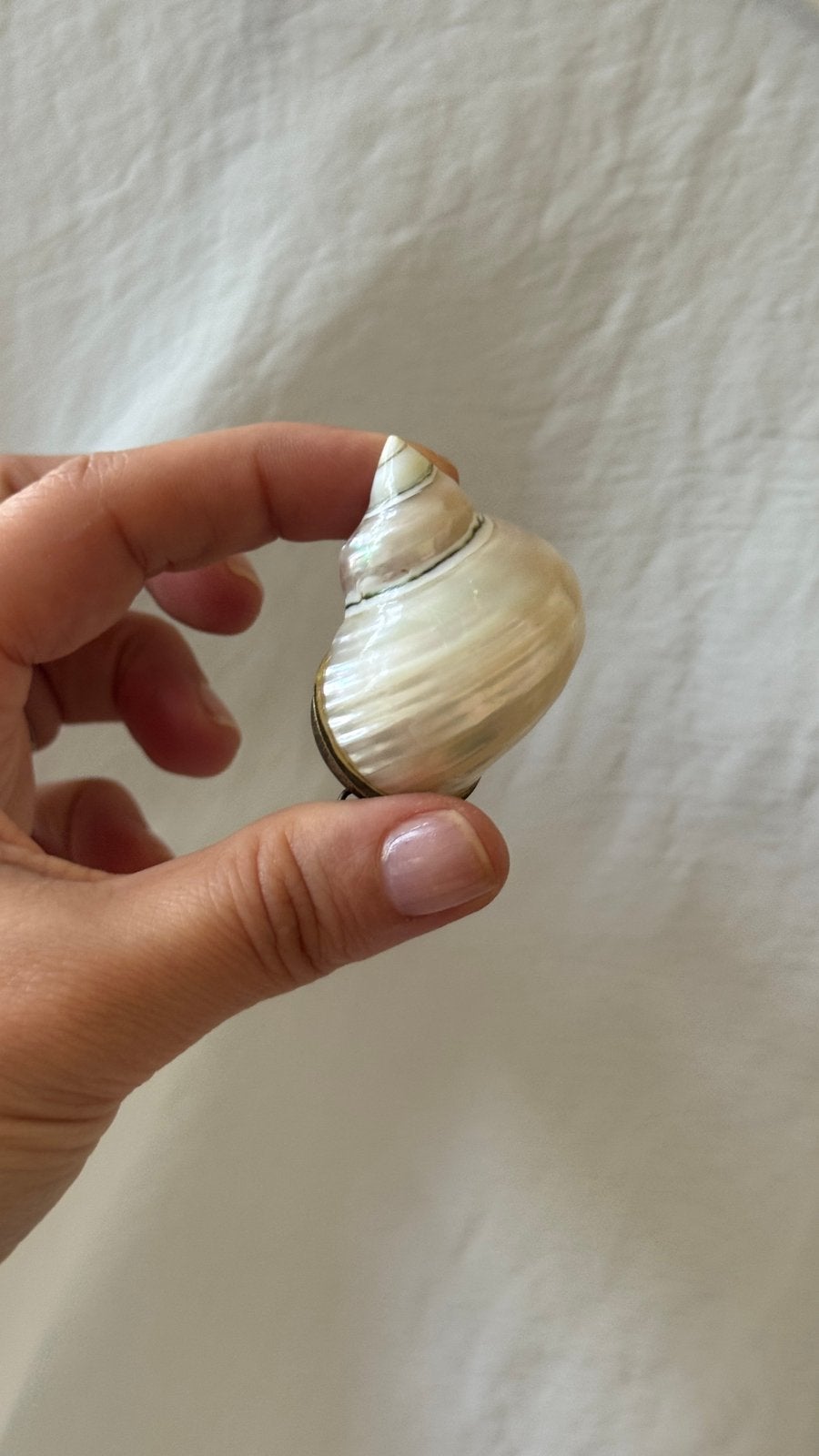 Mini pendentif boite a bijou en nacre coquillage, Antiquités & Art, Enlèvement ou Envoi