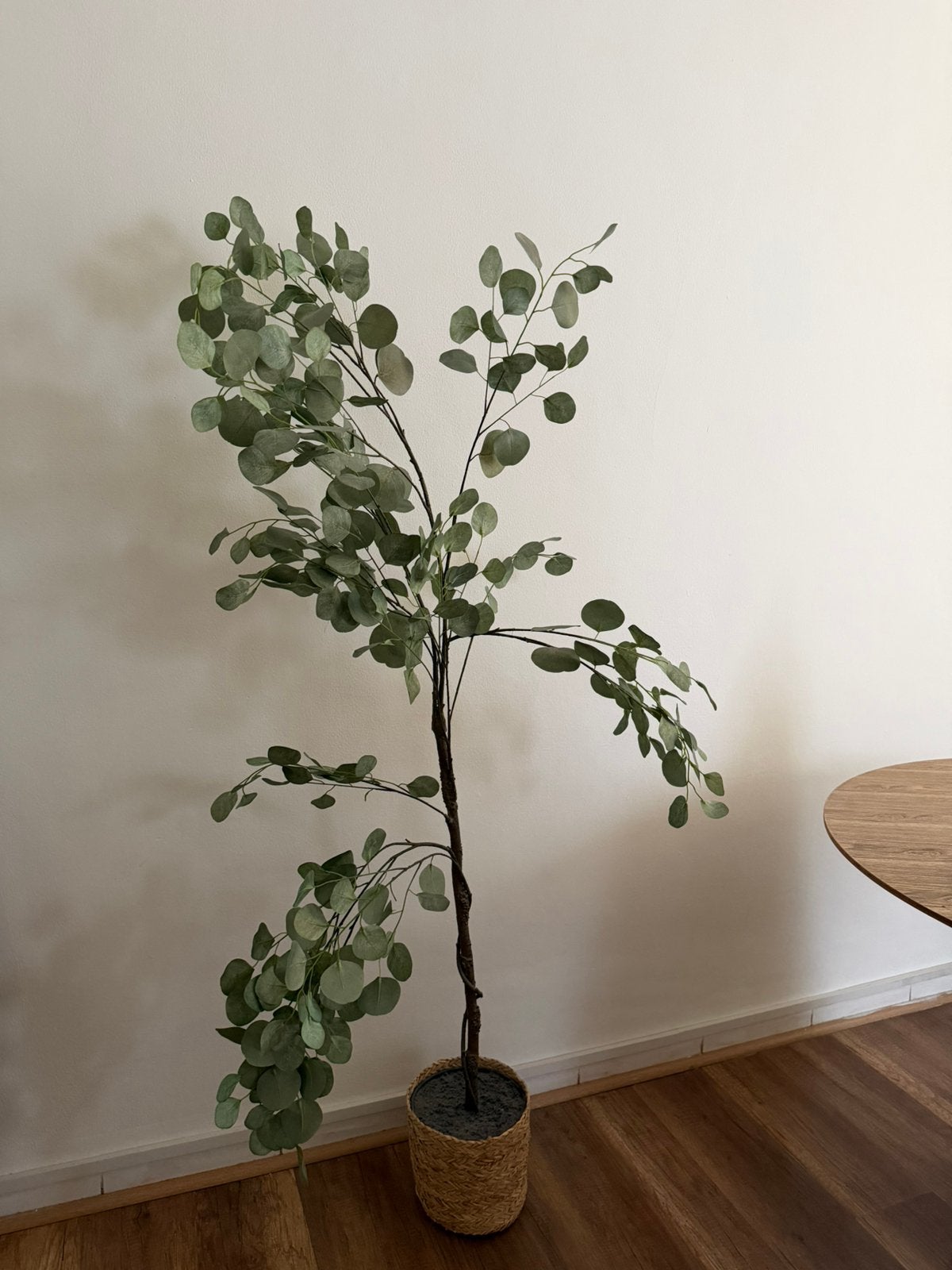 Plante artificielle eucalyptus avec pot en osier, Maison & Meubles, Accessoires pour la Maison | Plantes & Fleurs artificielles