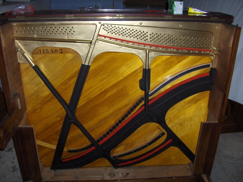 Accordeur, technicien, restaurateur de piano, Ophalen, Nieuw, Overige kleuren, Piano