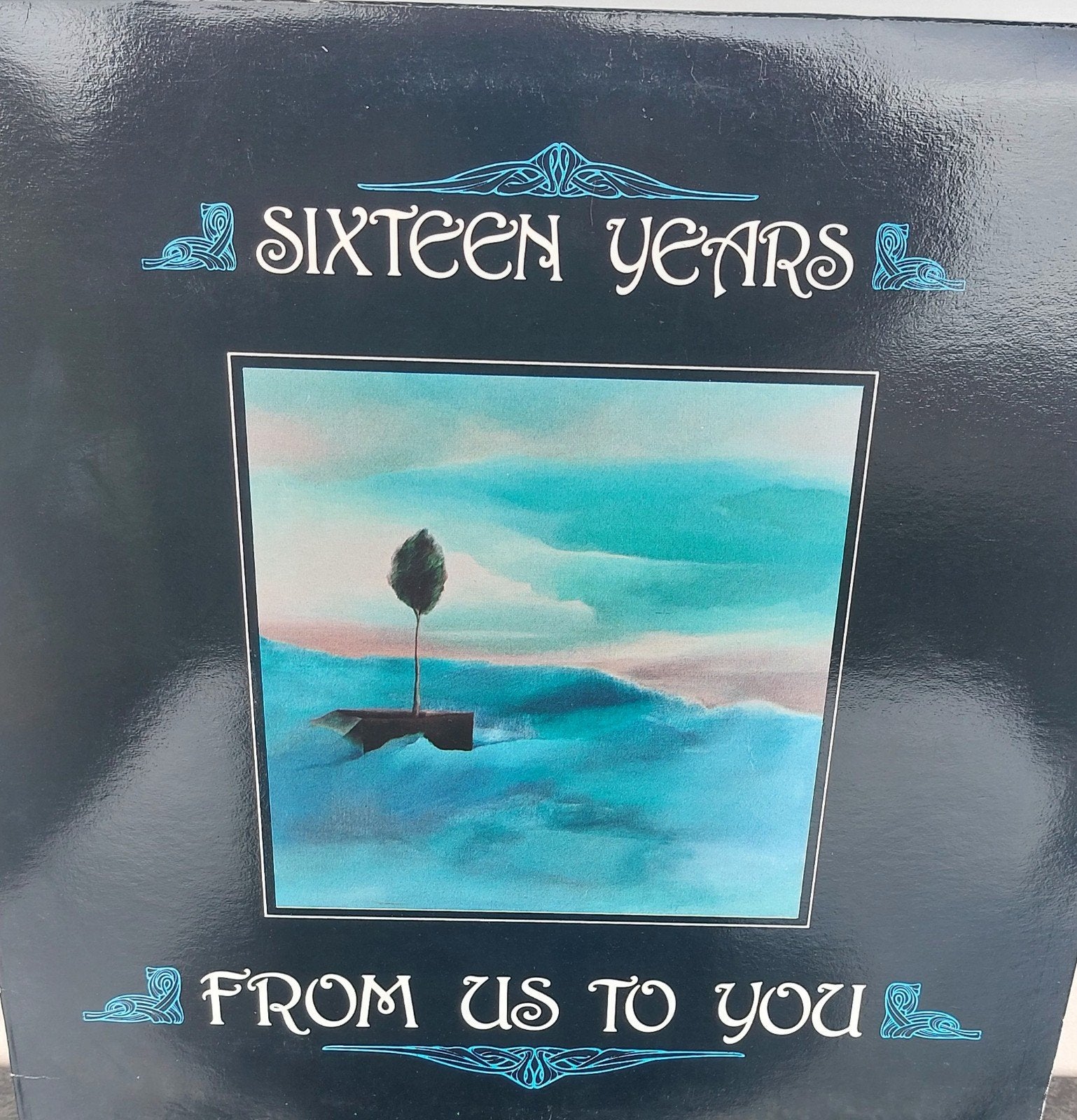 FROM US TO YOU : SIXTEEN YEARS, CD & DVD, Vinyles | Musique du monde, Enlèvement ou Envoi