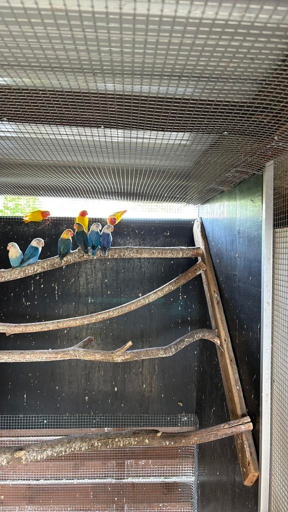 Fischerie, Dieren en Toebehoren