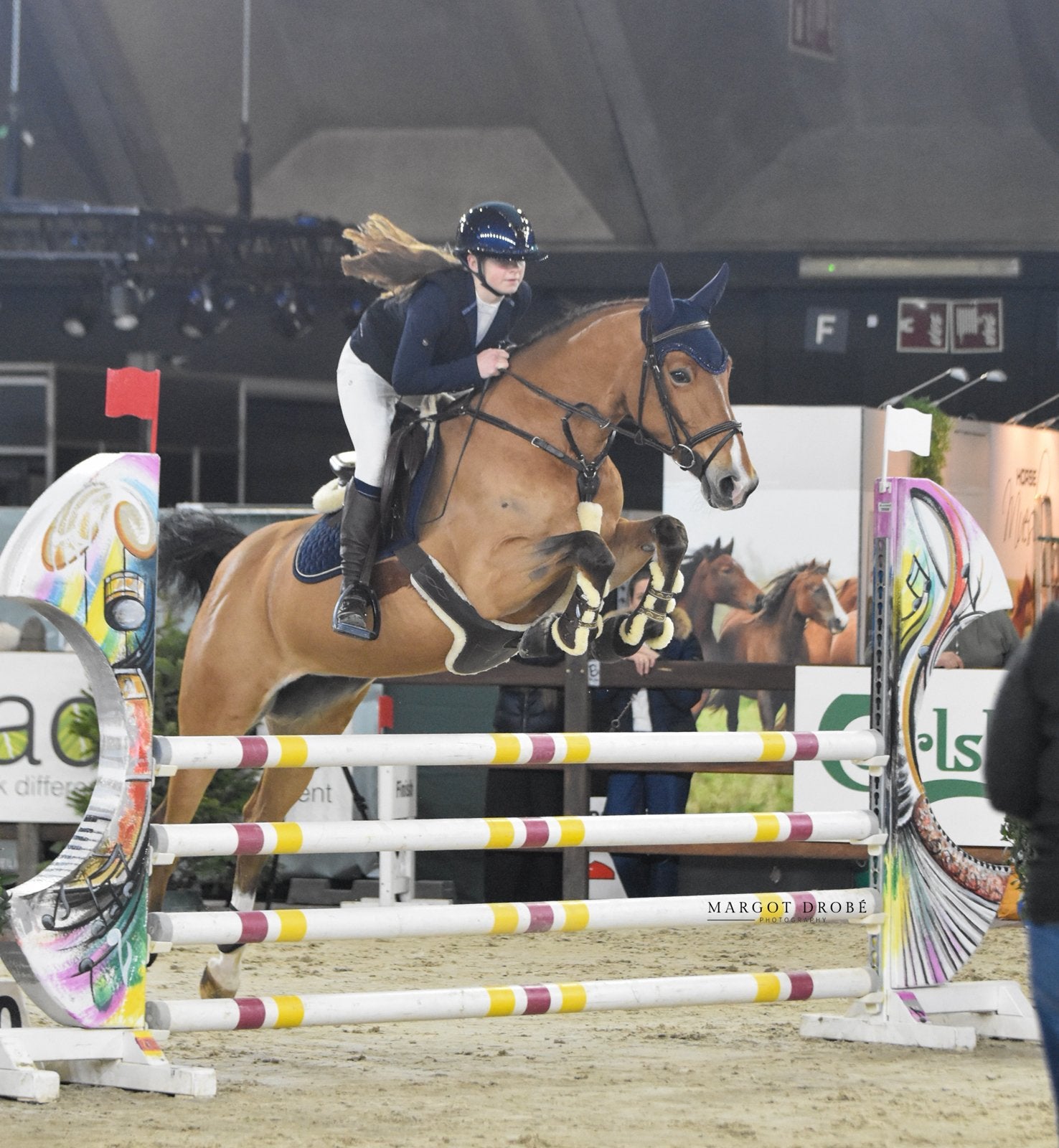 Super betrouwbaar Springpaard, Animaux & Accessoires, Jument, Cheval de saut